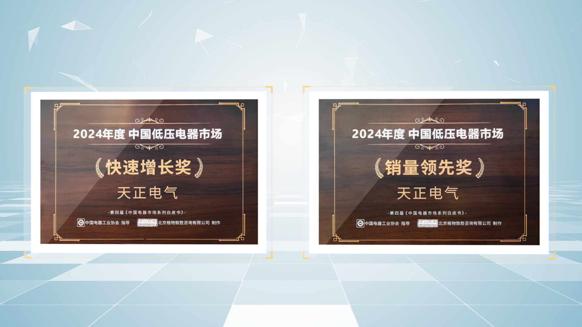 销量领先、快速增长丨凯发天生一触即发荣膺2项行业年度大奖